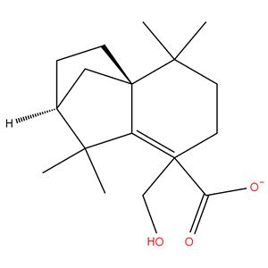 Hexahydro-Tetramethyl-Methanonaphthalene-8-Methyl Formate