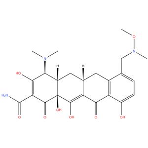 Sarecycline