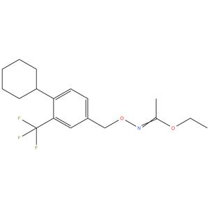 Ethyl (1Z)-N-{[4-cyclohexyl-3-(trifluoromethyl) benzyl ] 
oxy} ethanimidoate