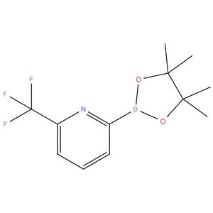 2-(4,4,5,5-tetramethyl-1,3,2-
dioxaborolan-2-yl)-6-
(trifluoromethyl)pyridine