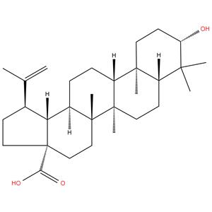 Betulinic Acid