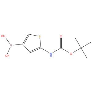 ( 5 - ( ( tert - butoxycarbonyl ) amino ) thiophen - 3 - yl ) boronic acid