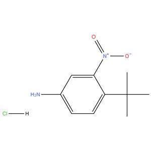 4-(tert-butyl)-3-nitroaniline Hydrochloride