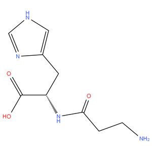 L - carnosine