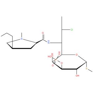 Clindamycin 3-Phosphate