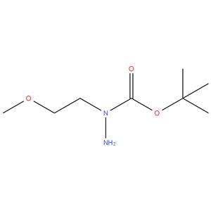 tert - butyl 1- ( 2 - methoxyethyl ) hydrazine - 1 - carboxylate