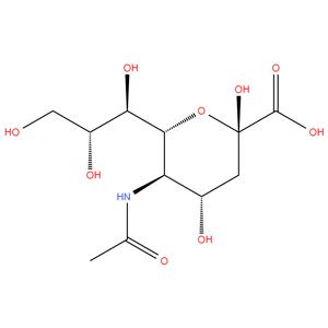 N-Acetylneuraminic acid