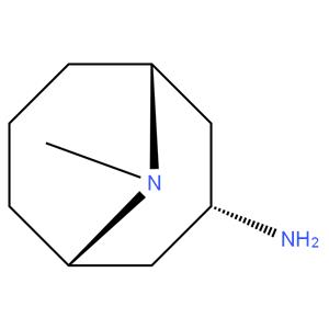 Endo-9-methyl-9-azabicycolo [3.3.1] nonan-3-amine