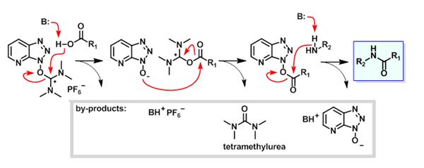 HATU Mechanism