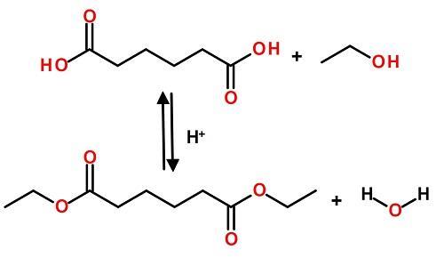 synthesis of Dimethyl adipate